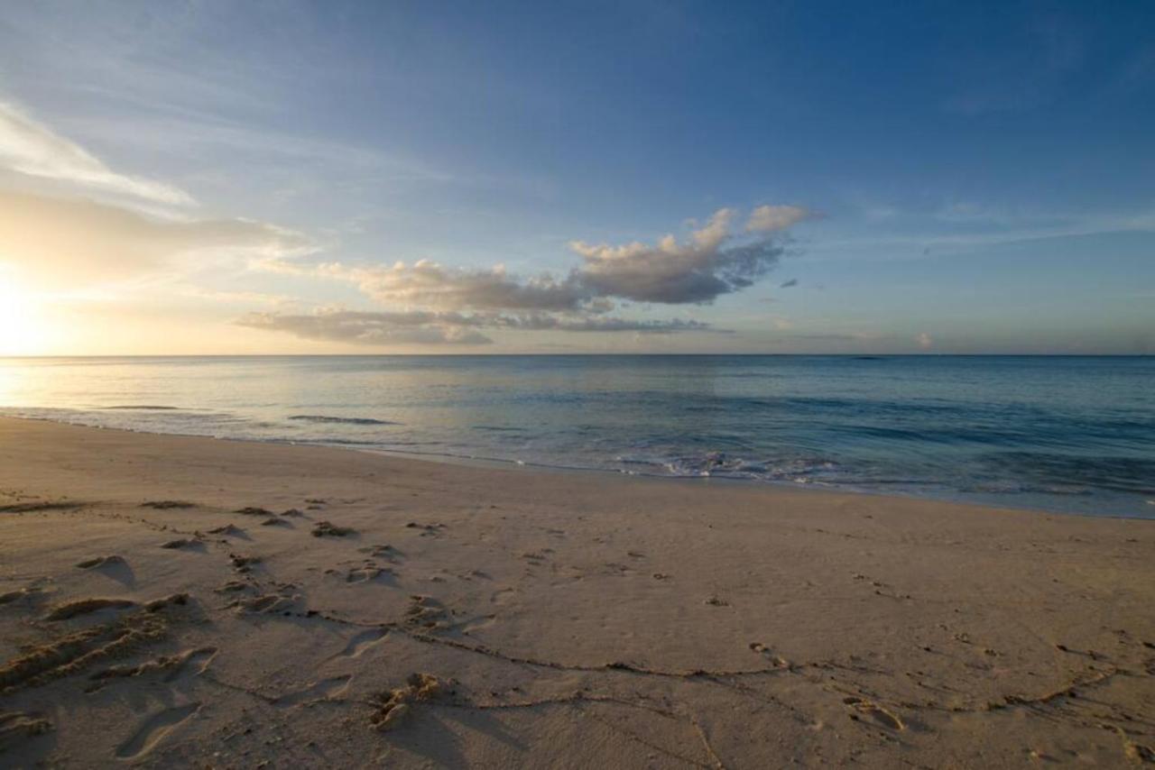 Petite Mouette - Oceanfront Beach Cottage Nassau Eksteriør bilde